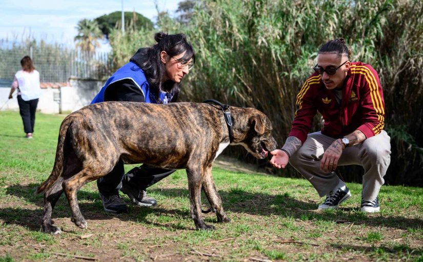Pet Day, Tsimikas e Corelli promuovono l’adozione dei cani: “Esperienza fantastica” (COMUNICATO, FOTO e VIDEO)
